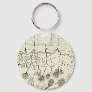 Cajal's Neurons 8 Key Ring