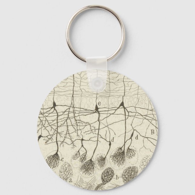 Cajal's Neurons 8 Key Ring (Front)