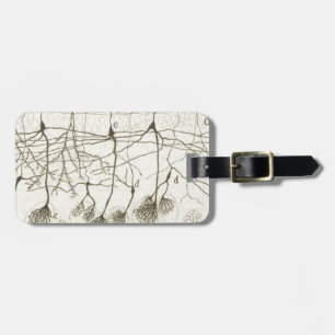 Cajal's Neurons 8 Luggage Tag