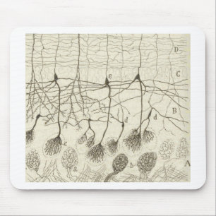 Cajal's Neurons 8 Mouse Mat