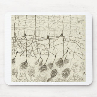 Cajal's Neurons 8 Mouse Mat