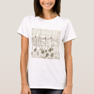 Cajal's Neurons 8 T-Shirt