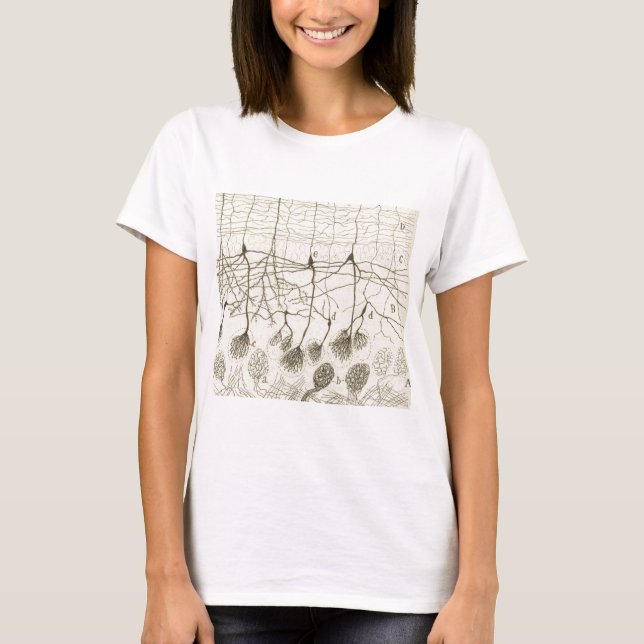 Cajal's Neurons 8 T-Shirt (Front)