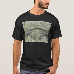 Cajal's spinal neurons - 5 T-Shirt