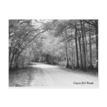 Cajun Dirt Road postcard