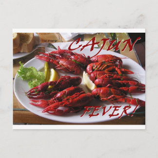 Cajun Fever! Postcard