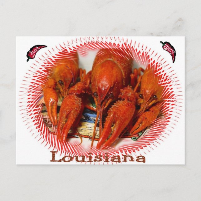 Cajun Pride Postcard (Front)