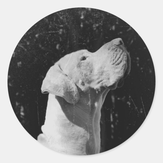 Cajus Aufkleber Classic Round Sticker (Front)