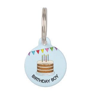Cake With Colourful Banner On Blue Birthday Boy Pet Tag