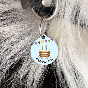 Cake With Colourful Banner On Blue Birthday Boy Pet Tag