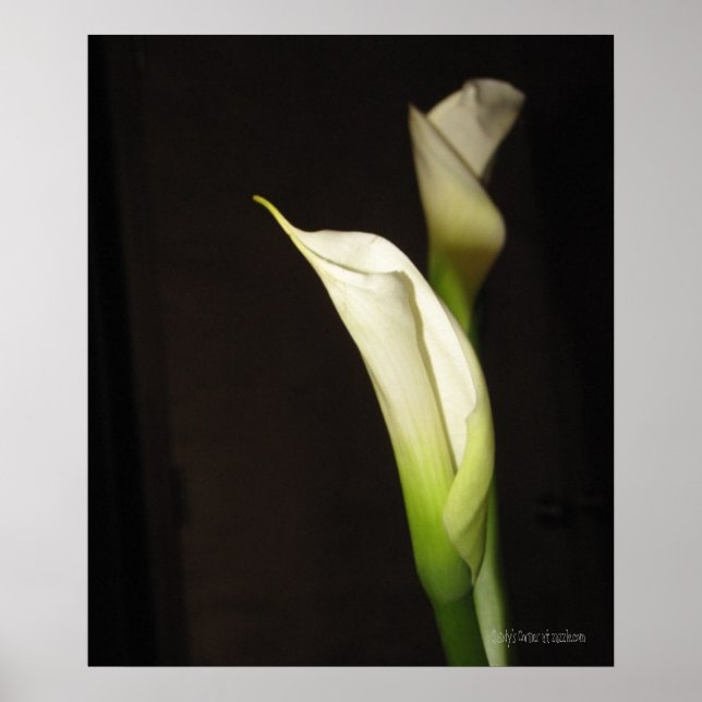 Cala Lily Duo Poster (Front)