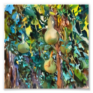 Calabash Tree Gourds In Autumn Acrylic Art Photo Print