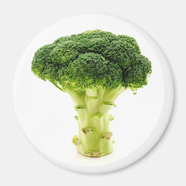 Calabrese broccoli magnet (Front)