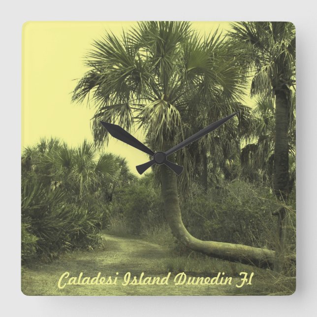 Caladesi Island Dunedin Fl Wall Clock (Front)