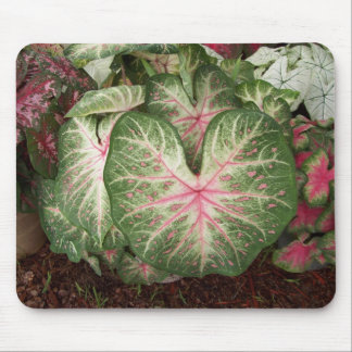 Caladium Galaxy Mouse Mat