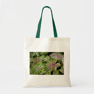 Caladium Gingerland Tote Bag