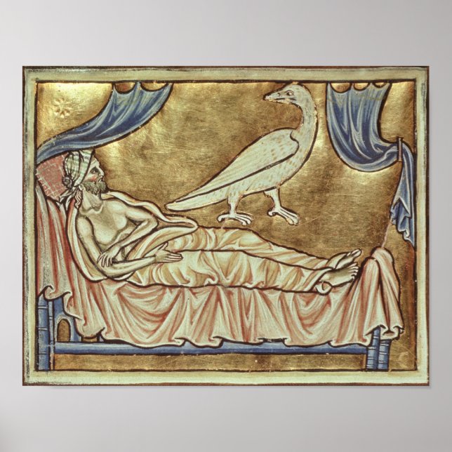 Caladrius bird, reputed to foretell poster (Front)