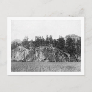 Calamity Peak in the Black Hills Photograph Postcard