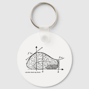Calculus Hurts my Brain Key Ring