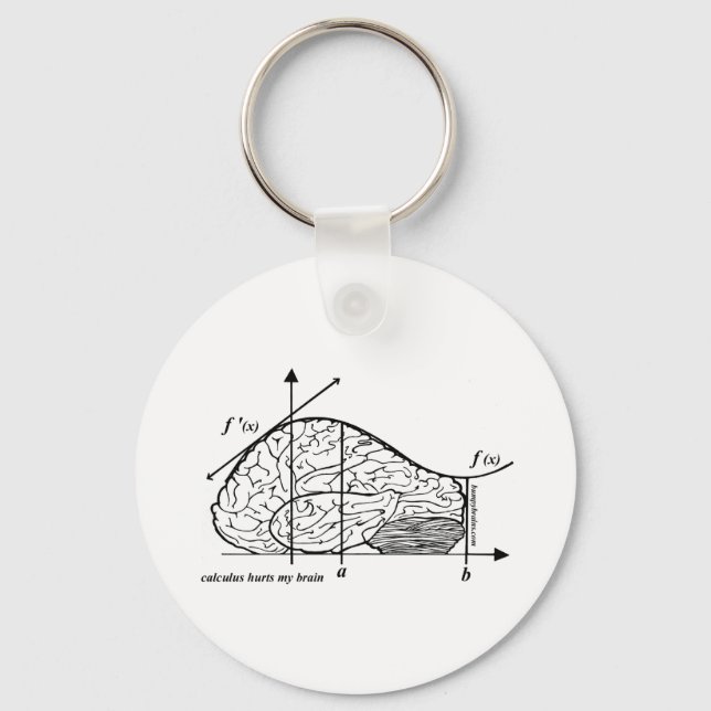 Calculus Hurts my Brain Key Ring (Front)