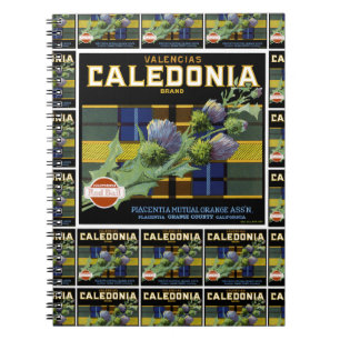 Caledonia Orange Label multi print Notebook