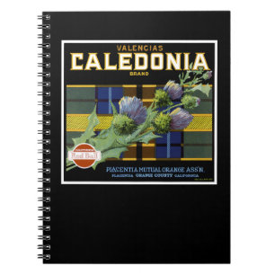 Caledonia Orange Label Notebook
