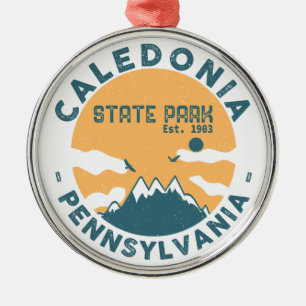 Caledonia State Park Pennsylvania Vintage Retro Metal Tree Decoration
