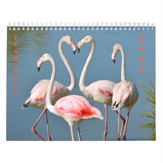 Calendar (Cover)