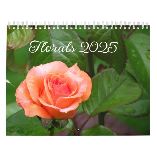 Calendar (Cover)