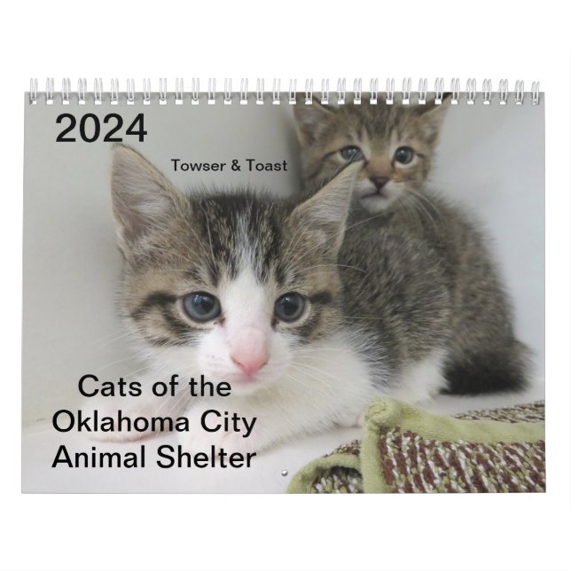 Calendar (Cover)