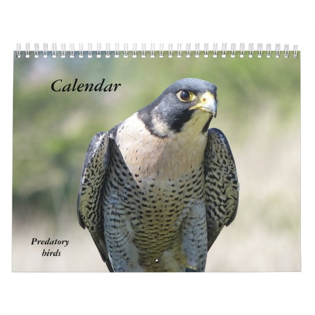 Calendar 12 months, Predatory Birds (Cover)