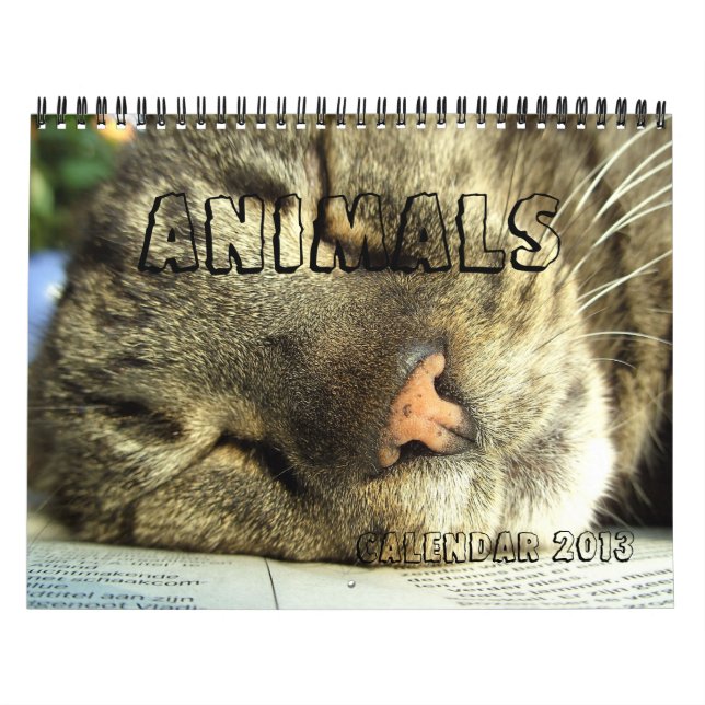 Calendar 2013 - Animals (Cover)