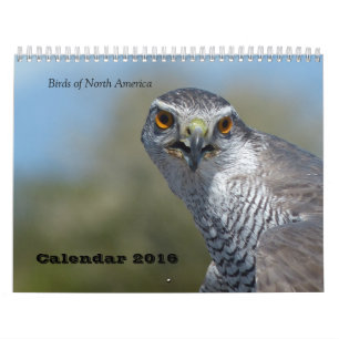 Calendar 2016 - Birds of North America