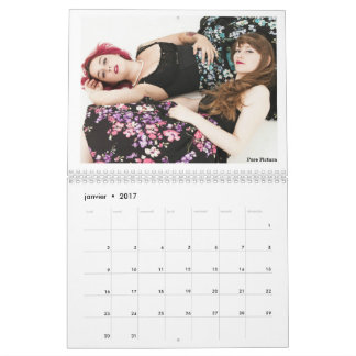 Calendar 2017 “Owlies "