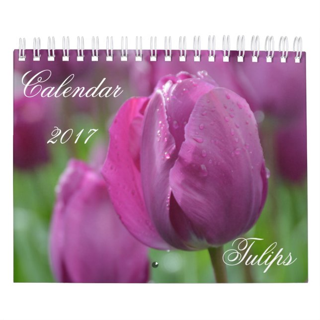 Calendar 2017 Tulips (Cover)