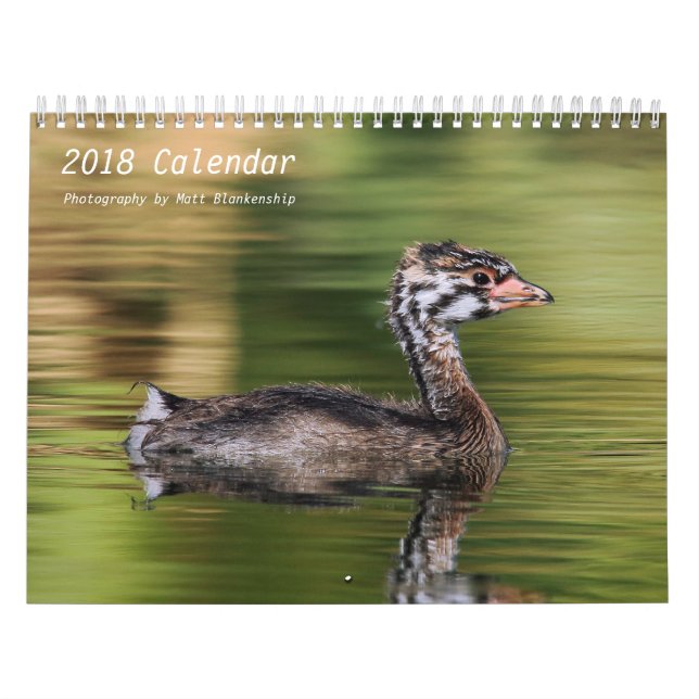 Calendar - 2018 - Medium b (Cover)