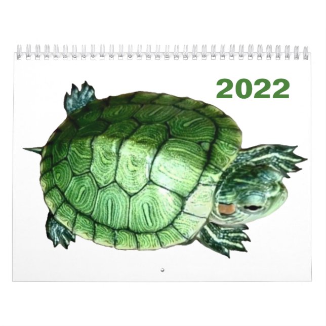 Calendar 2022 Turtle (Cover)