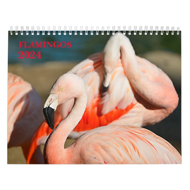Calendar 2023 flamingos (Cover)