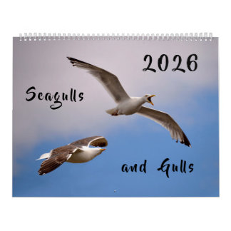 Calendar 2023 Gulls and Seagulls