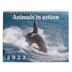 Calendar 2023 of animals in action