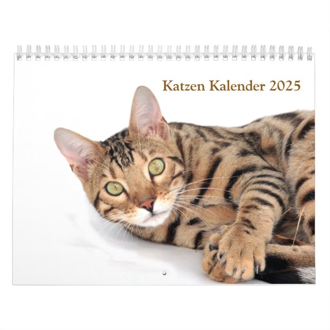 Calendar 2025 Cat Lover Cats (Cover)