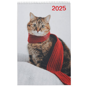 Calendar 2025 Cat Lover Cats