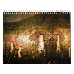 Calendar-A Touch of Magic Calendar