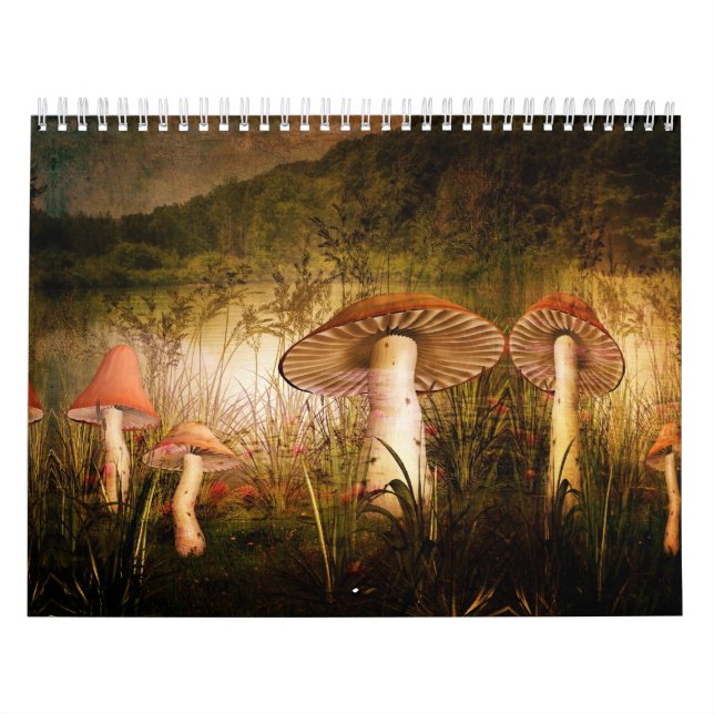 Calendar-A Touch of Magic Calendar (Cover)