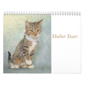 Calendar art featuring shelter animals