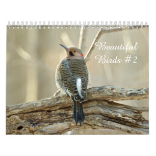 Calendar Beautiful Birds #2