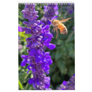 Calendar bees butterflys
