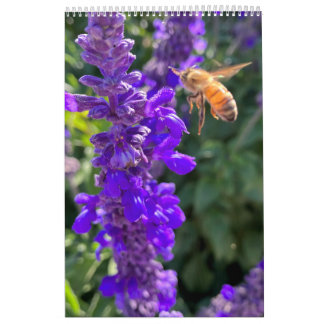 Calendar bees butterflys