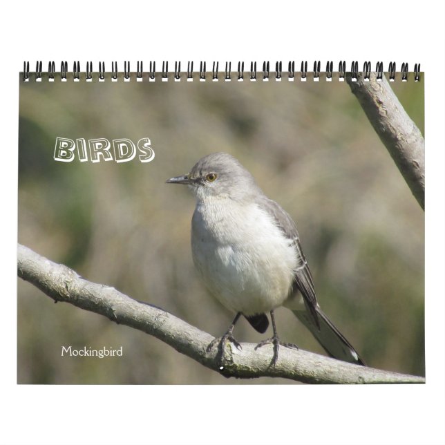 Calendar - Birds (Cover)