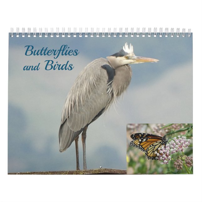 Calendar - Birds and Butterflies (Cover)